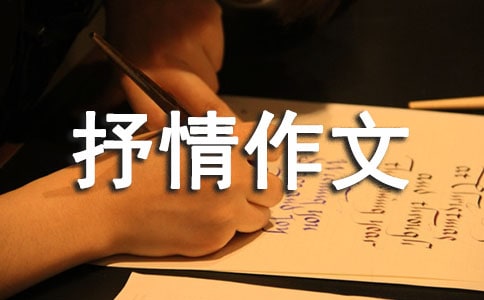 永遠也不會忘記高一抒情作文850字