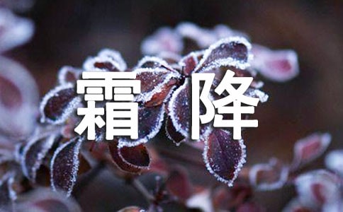�����ϡ�˪���ֳ���(b��o)�ز�
