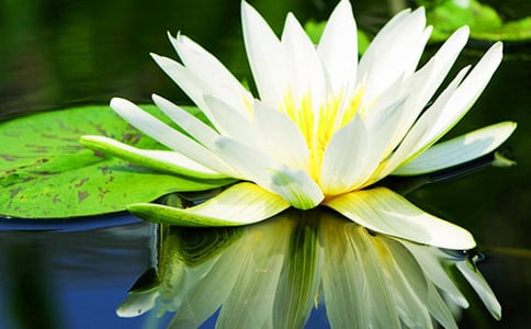 ˯ɏ�cɏ�����ģ�ͨ��45ƪ��