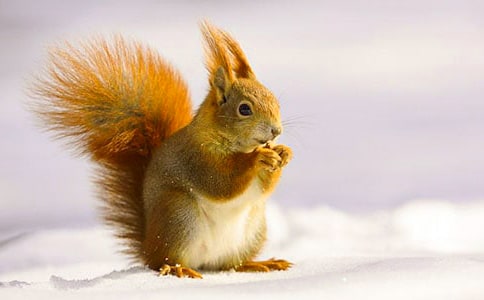 �i����������i�Z��ȫ