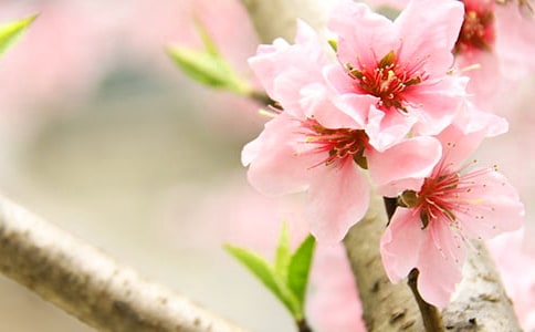�һ���ľ�x��о��x��15ƪ��