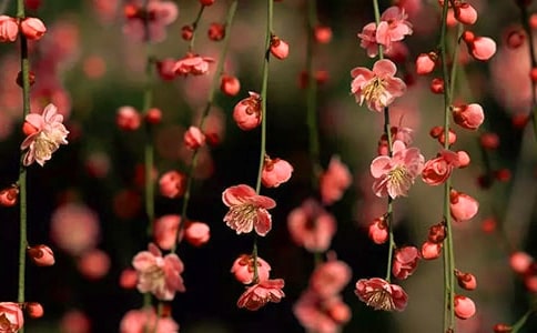 ���һ��ı����䣨���x110�䣩