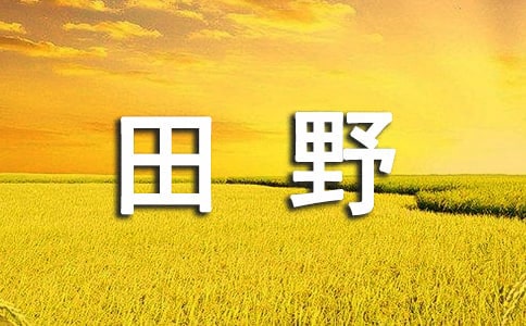 �����x�����꼉(j��)��Ұ���ĺϼ���ƪ