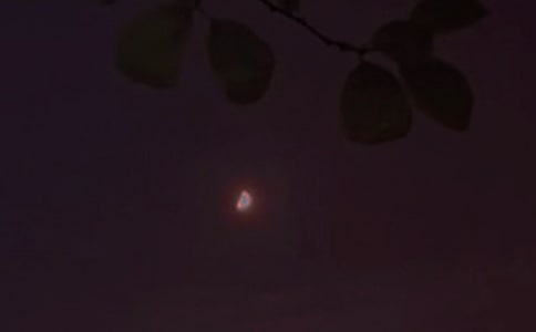 ���ε�Ψ�����������Z�R��79��