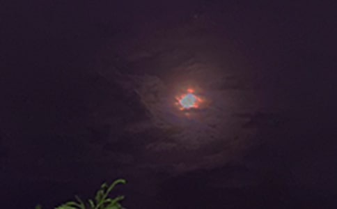 ����ů���������Z�R��65�侫�x