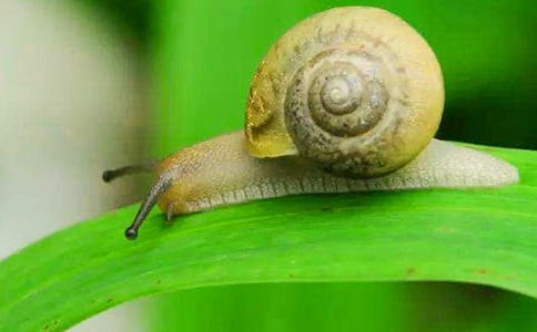�x������΁ţȥɢ�����из��ģ�ͨ��18ƪ��