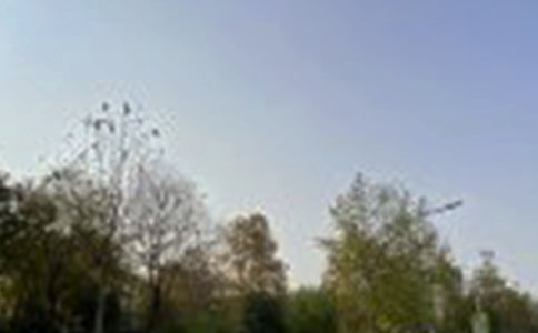 關(guān)于溫馨午安語錄大全(通用60句)