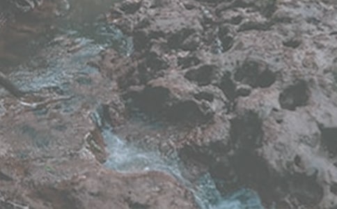�x��СϪ���ĸ衷�иУ����x19ƪ��