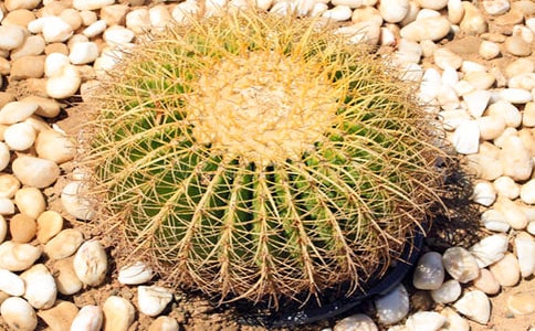 �p������