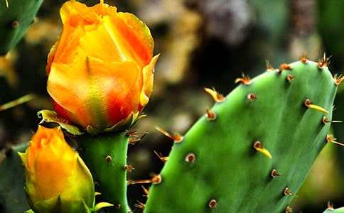 �Ҽҵ��辰����������