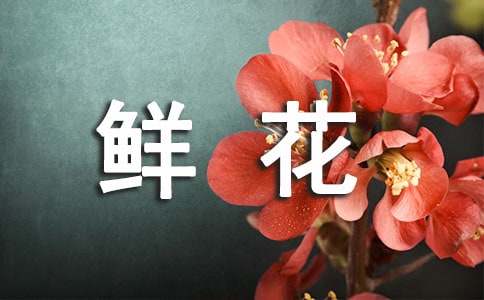 �r��������