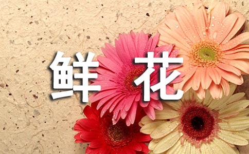 �r���ͽo����