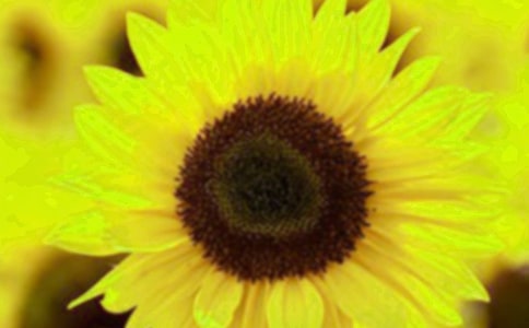 ���տ���һ���ģ����x22ƪ��
