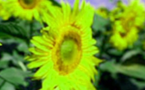 ���տ����꼉���ļ���9ƪ