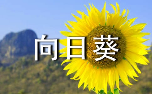 ��ʲô���տ��Ļ����ǳ���̫ꖣ�