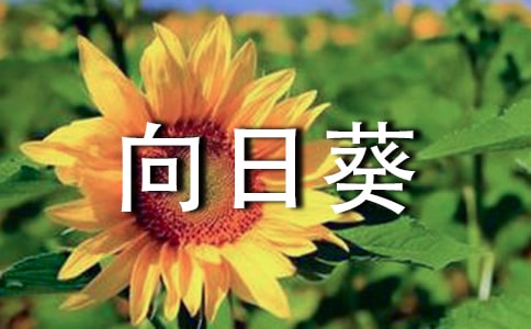 ���b�h(yu��n)�����տ��ء��x��У�ͨ��16ƪ��