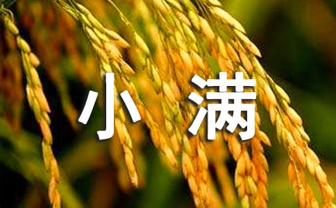 С�M�V�Z(y��)