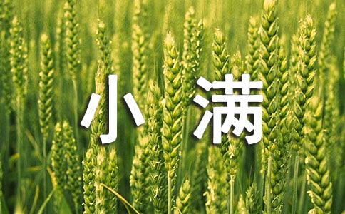 С�M��(ji��)���B(y��ng)���ʳ