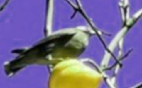 С�B