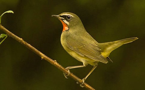 С�B������