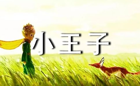 �U�M��С����