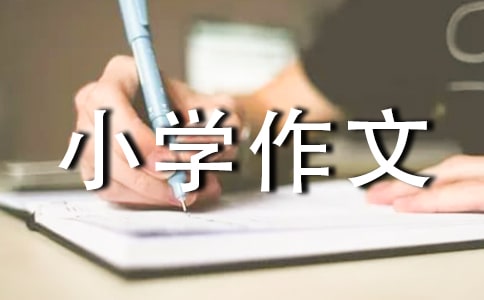 三年級小學(xué)作文【優(yōu)秀4篇】