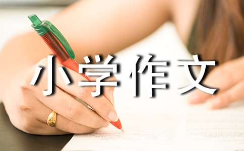 С�W(xu��)�������꼉��ȫ