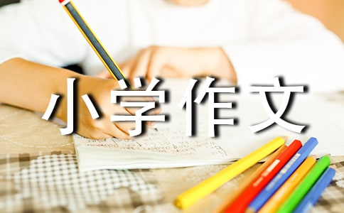 �����]���ҵ����꼉(j��)С�W(xu��)���ĺϼ�ʮƪ