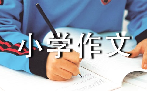 ���꼉С�W(xu��)���ĺϼ�10ƪ