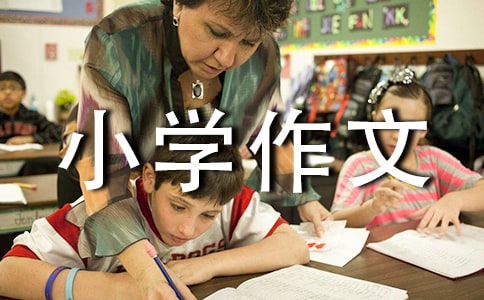 �ҵ����꼉С�W(xu��)����[��(j��ng)��]