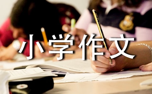 �����x���ҵ����꼉(j��)С�W(xu��)����ʮƪ