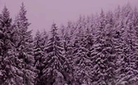 Сѩ��(ji��)���ӿ��Y