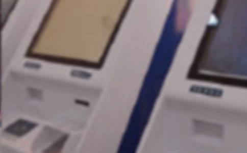 �y���D�������b������