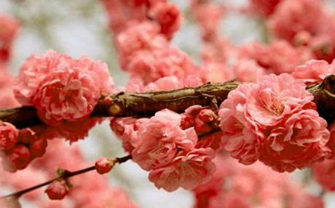 �ѻ��۵������x���