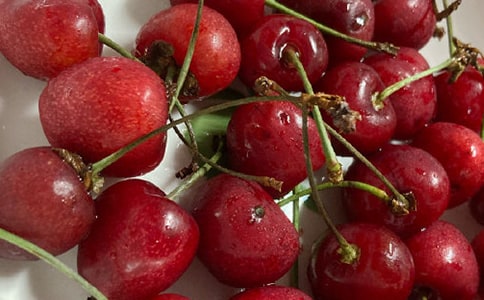 �����ҜϵĴ��졷���꼉�x���
