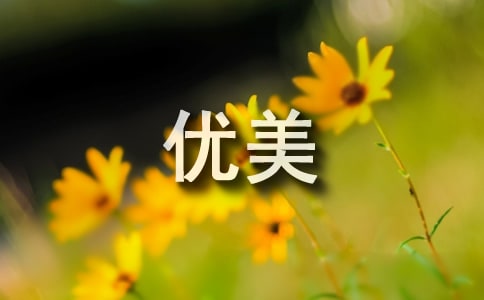 �茑(xi��)С�ݵă�(y��u)���Z(y��)��250��