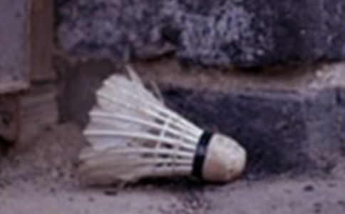 ����ë��С�W(xu��)���꼉(j��)�������ģ����x27ƪ��