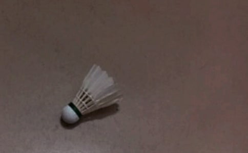 快樂的羽毛球