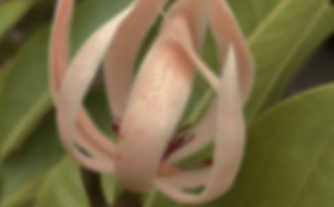���؂䡿���m�����꼉(j��)���ģ�ͨ��36ƪ��