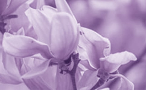 ���^����ʢ�_�����m��