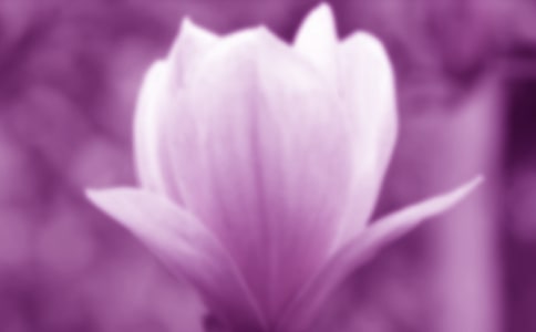 ���x���m�����꼉(j��)���ąR����ƪ