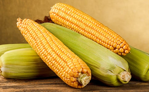 �I�������꼉����