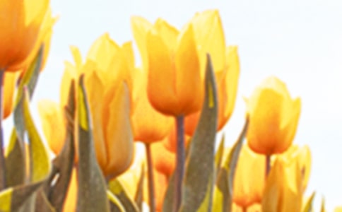 �p������