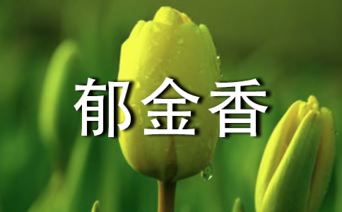 郁金香和菊花的對話作文