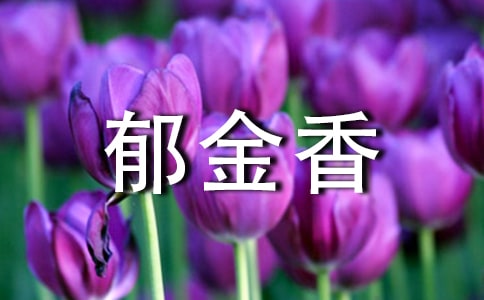 �����㺆�P�����E