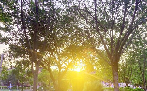 ���x�m�����ϰl(f��)���簲���Z�Z䛅R��48��