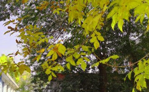 ����(l��)־�簲���Z(y��)�R��70�侫�x