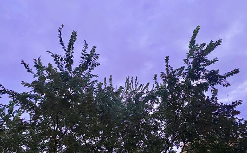 ���؂䡿�m�Ͻo���ѵ��簲�����Z�Z䛅R��32�l