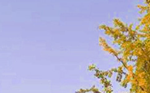 �����]����ů���簲���Z�Z�37��