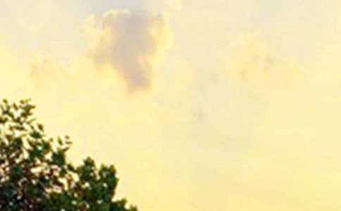 ���P(gu��n)�簲���Z��ȫ�����x175�䣩